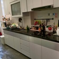 Hock Mansion (D9), Apartment #581297381